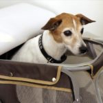 (Foto: Björn Othlinghaus)